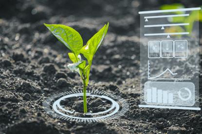 AI in Agriculture: The Digital Revolution in Farming