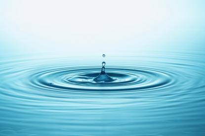 The Ripple Effect – How Your Transformation Shapes the World Around You