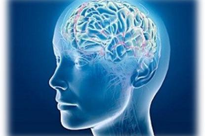 Attention – The Gateway to Transformation