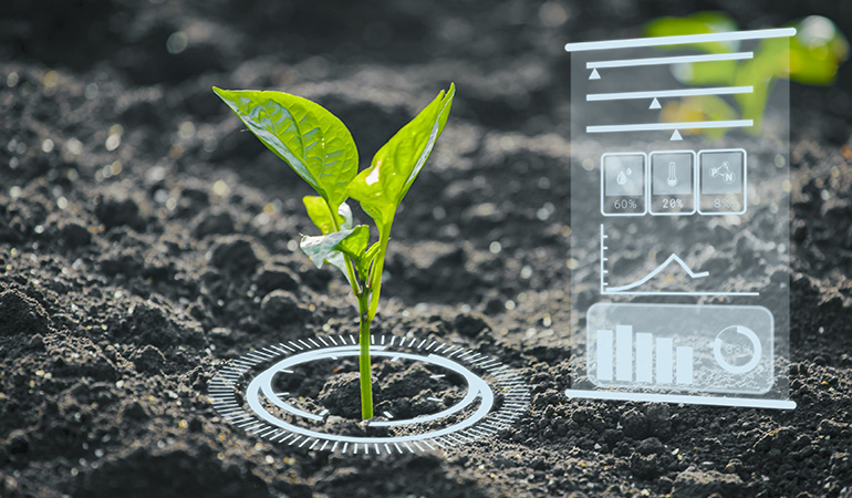 AI in Agriculture: The Digital Revolution in Farming