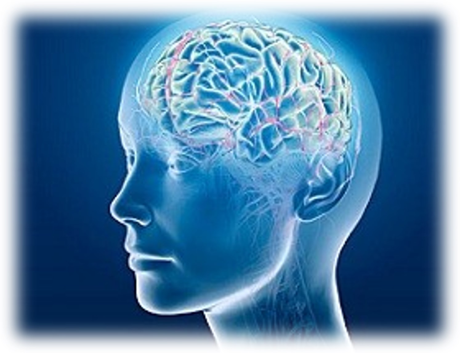 Attention – The Gateway to Transformation